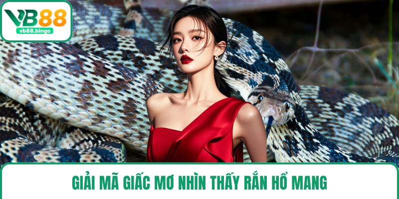 Giải mã giấc mơ nhìn thấy rắn hổ mang