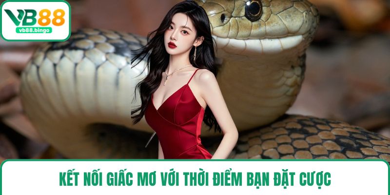 Kết nối giấc mơ với thời điểm bạn đặt cược