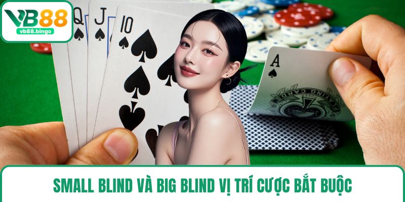 Small Blind và Big Blind vị trí cược bắt buộc